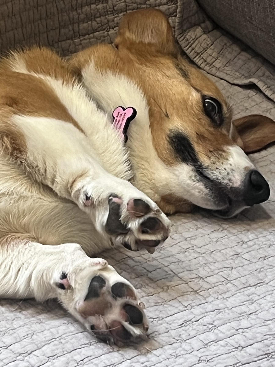 Pickle
