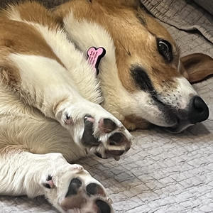 Pickle